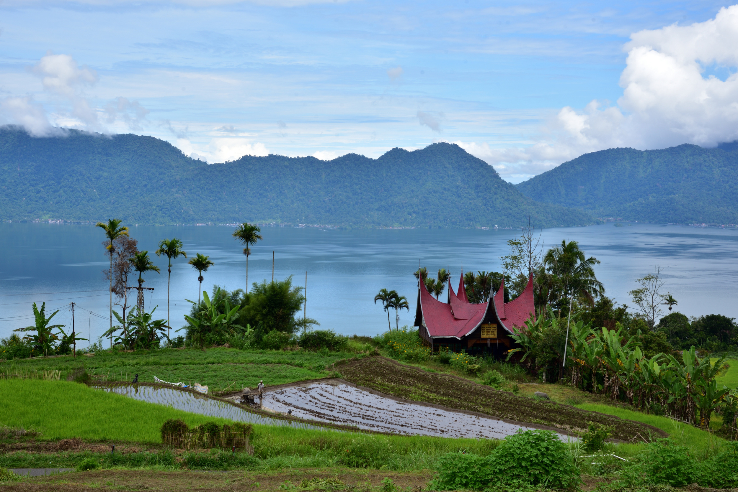  Padang  Bukit  Tinggi  Munzir Rosdi